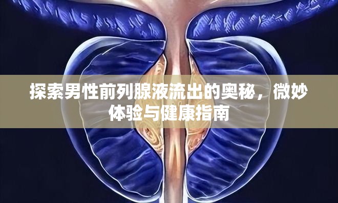 探索男性前列腺液流出的奧秘，微妙體驗(yàn)與健康指南