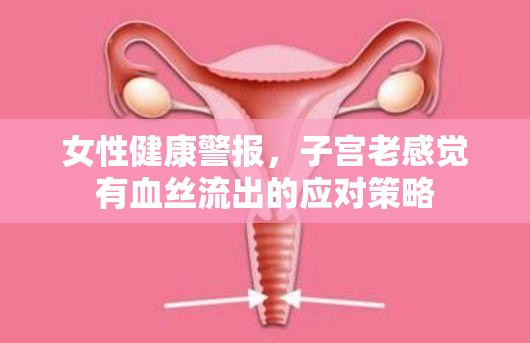 女性健康警報，子宮老感覺有血絲流出的應(yīng)對策略