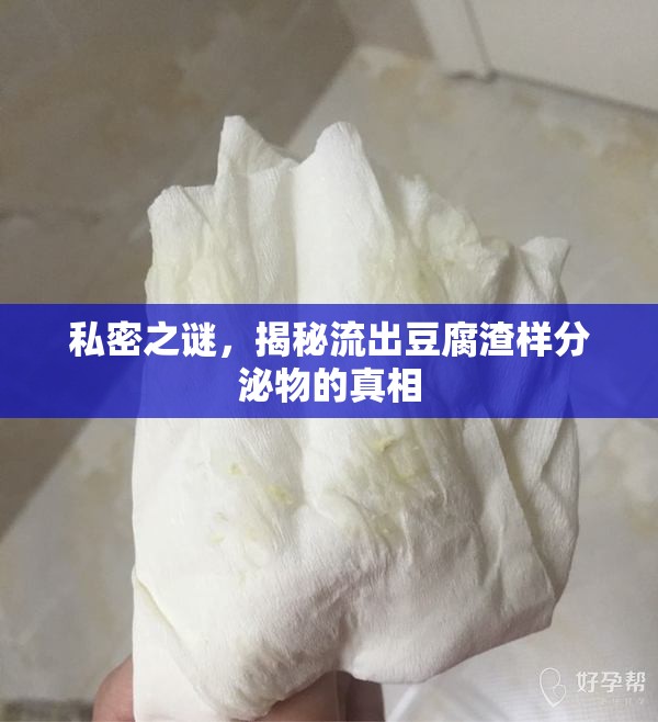 私密之謎，揭秘流出豆腐渣樣分泌物的真相