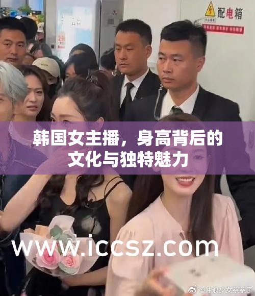 韓國女主播，身高背后的文化與獨特魅力