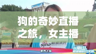 狗的奇妙直播之旅，女主播的第五單驚喜