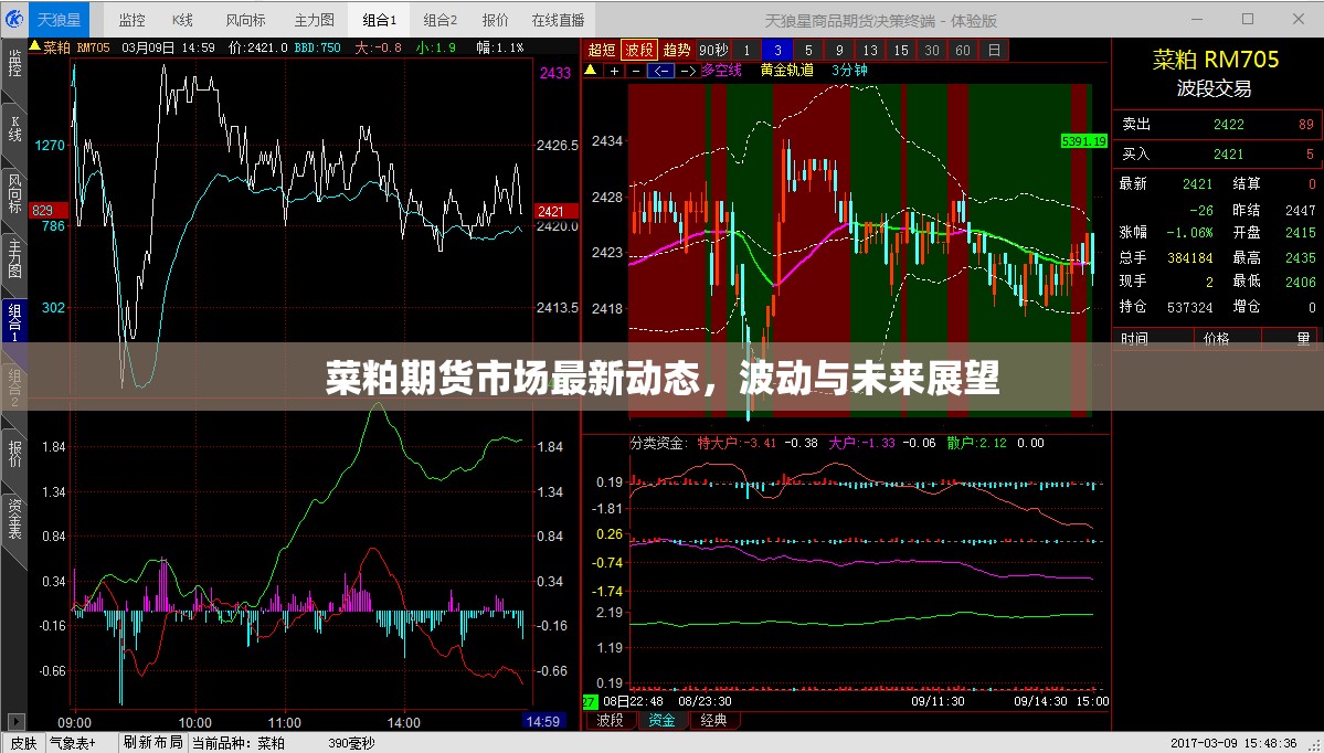 菜粕期貨市場(chǎng)最新動(dòng)態(tài)，波動(dòng)與未來(lái)展望