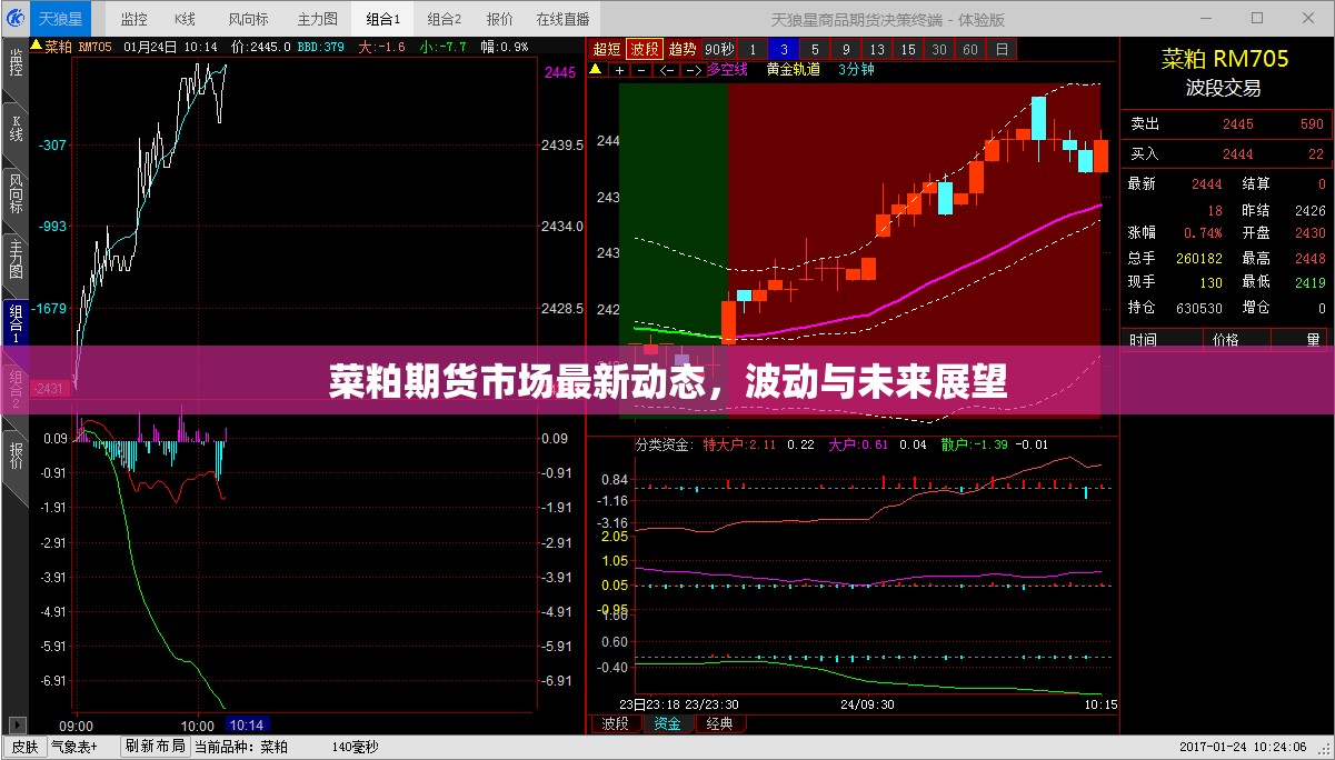 菜粕期貨市場(chǎng)最新動(dòng)態(tài)，波動(dòng)與未來(lái)展望
