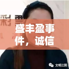 盛豐盈事件，誠信與透明的深度反思