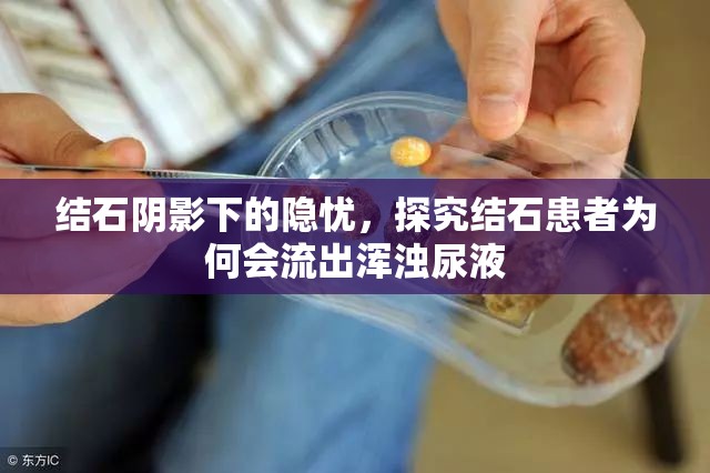 結石陰影下的隱憂，探究結石患者為何會流出渾濁尿液