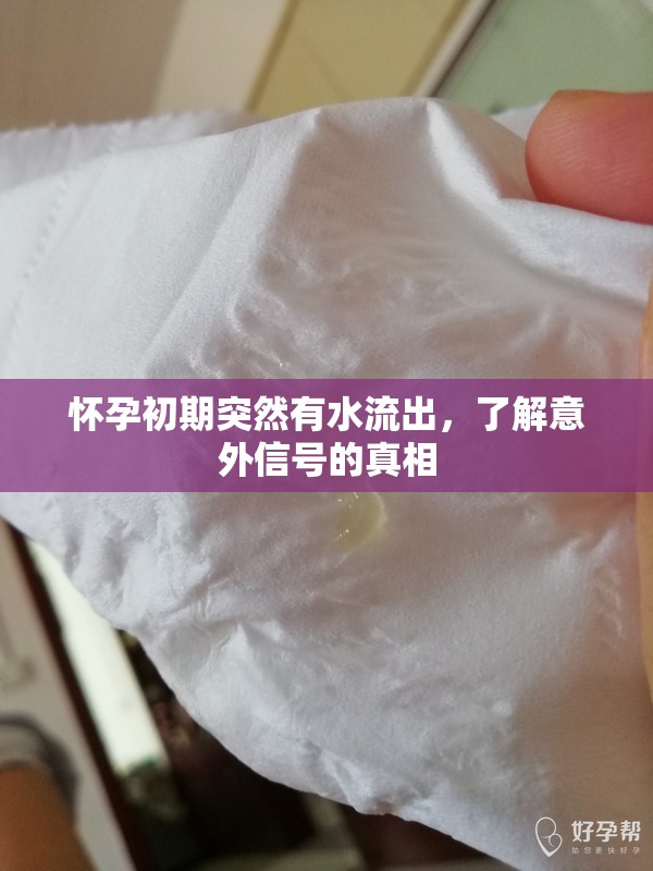 懷孕初期突然有水流出，了解意外信號的真相