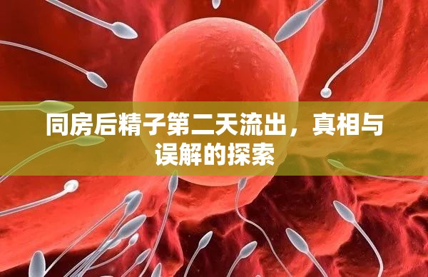 同房后精子第二天流出，真相與誤解的探索