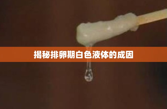 揭秘排卵期白色液體的成因