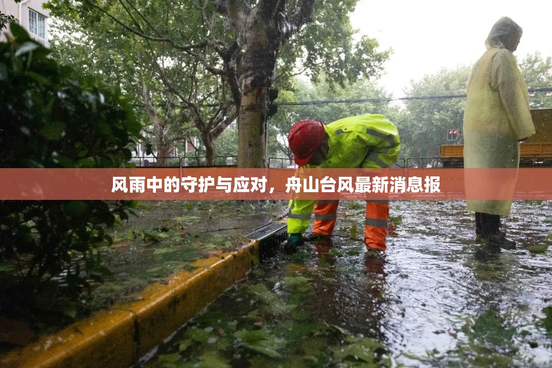 風雨中的守護與應對，舟山臺風最新消息報