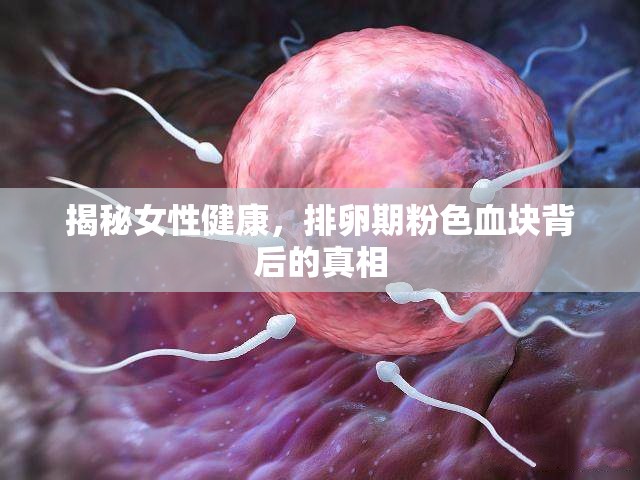 揭秘女性健康，排卵期粉色血塊背后的真相