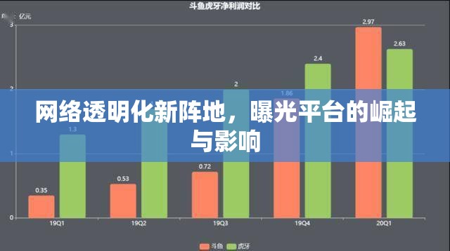 網(wǎng)絡(luò)透明化新陣地，曝光平臺的崛起與影響