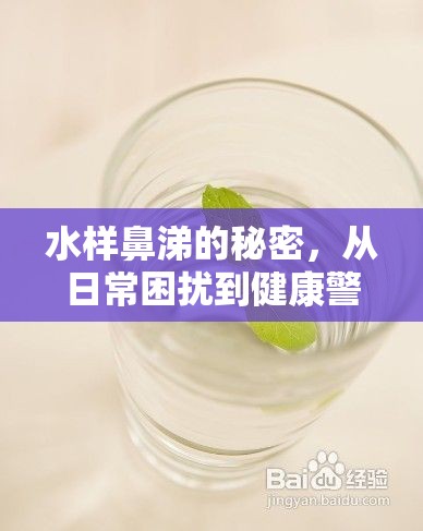 水樣鼻涕的秘密，從日常困擾到健康警報的全面解析