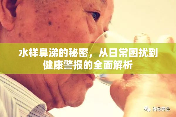 水樣鼻涕的秘密，從日常困擾到健康警報的全面解析