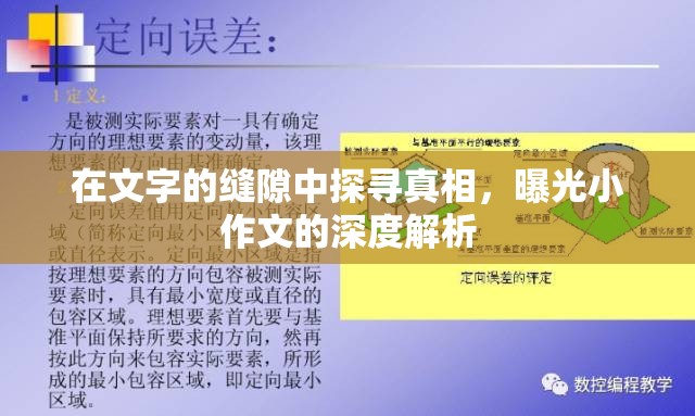 在文字的縫隙中探尋真相，曝光小作文的深度解析