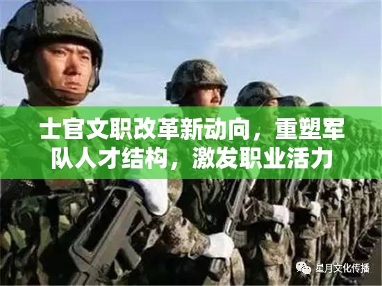 士官文職改革新動向，重塑軍隊人才結(jié)構(gòu)，激發(fā)職業(yè)活力