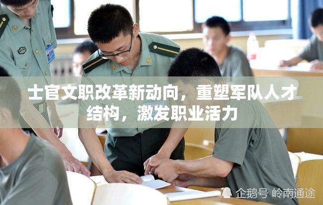 士官文職改革新動向，重塑軍隊人才結(jié)構(gòu)，激發(fā)職業(yè)活力