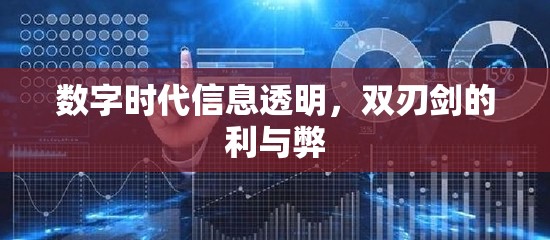 數(shù)字時代信息透明，雙刃劍的利與弊