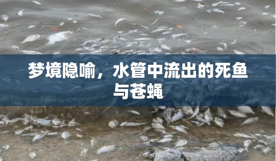 夢境隱喻，水管中流出的死魚與蒼蠅