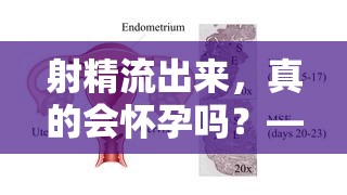 射精流出來(lái)，真的會(huì)懷孕嗎？——揭秘性行為與懷孕的真相