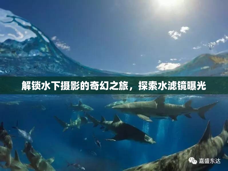 解鎖水下攝影的奇幻之旅，探索水濾鏡曝光