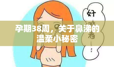 孕期38周，關(guān)于鼻涕的溫柔小秘密