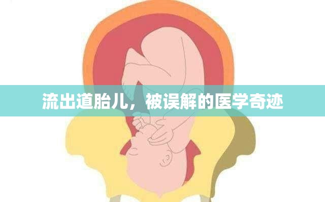 流出道胎兒，被誤解的醫(yī)學(xué)奇跡