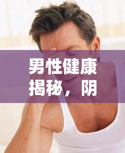 男性健康揭秘，陰莖流出無色粘液的真相與解讀