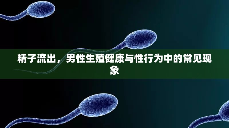 精子流出，男性生殖健康與性行為中的常見現(xiàn)象