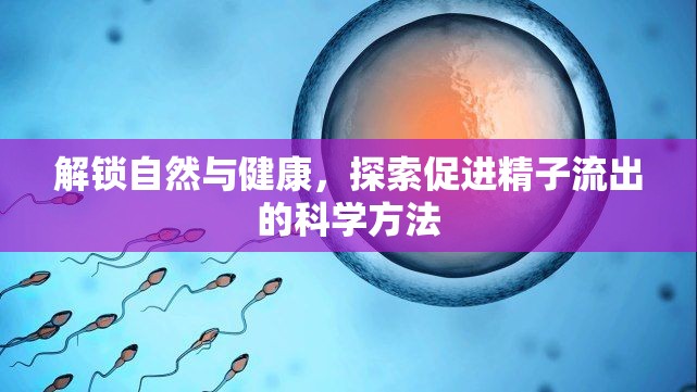 解鎖自然與健康，探索促進精子流出的科學(xué)方法