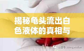 揭秘龜頭流出白色液體的真相與健康指南