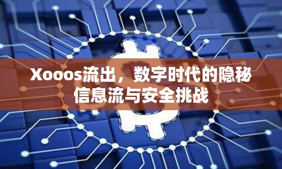 Xooos流出，數(shù)字時代的隱秘信息流與安全挑戰(zhàn)