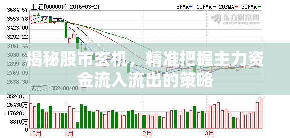 揭秘股市玄機(jī)，精準(zhǔn)把握主力資金流入流出的策略