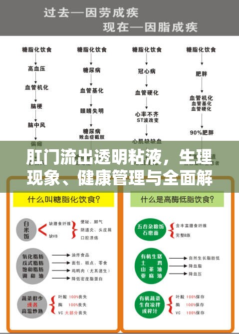 肛門流出透明粘液，生理現(xiàn)象、健康管理與全面解析