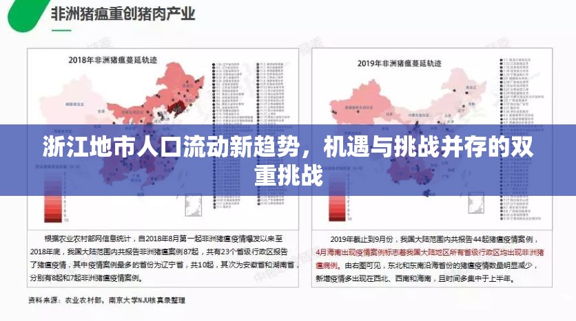 浙江地市人口流動新趨勢，機(jī)遇與挑戰(zhàn)并存的雙重挑戰(zhàn)