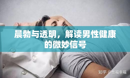 晨勃與透明，解讀男性健康的微妙信號