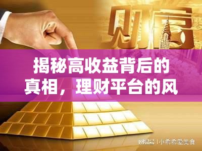 揭秘高收益背后的真相，理財平臺的風(fēng)險與陷阱