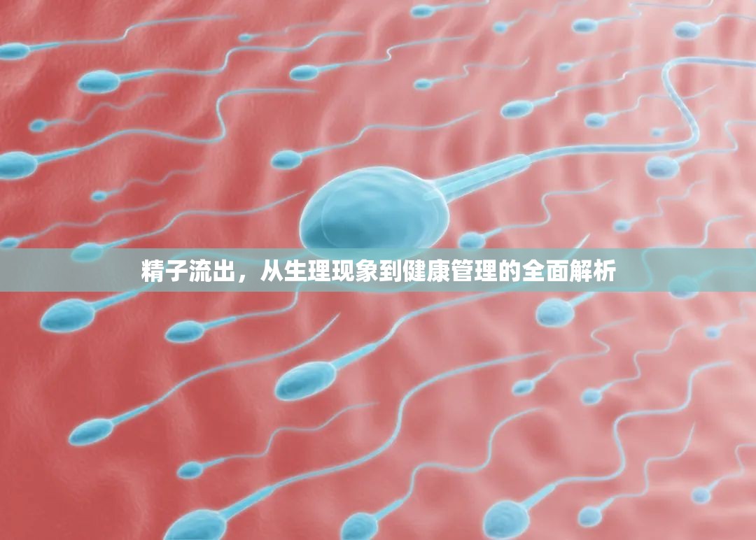 精子流出，從生理現(xiàn)象到健康管理的全面解析