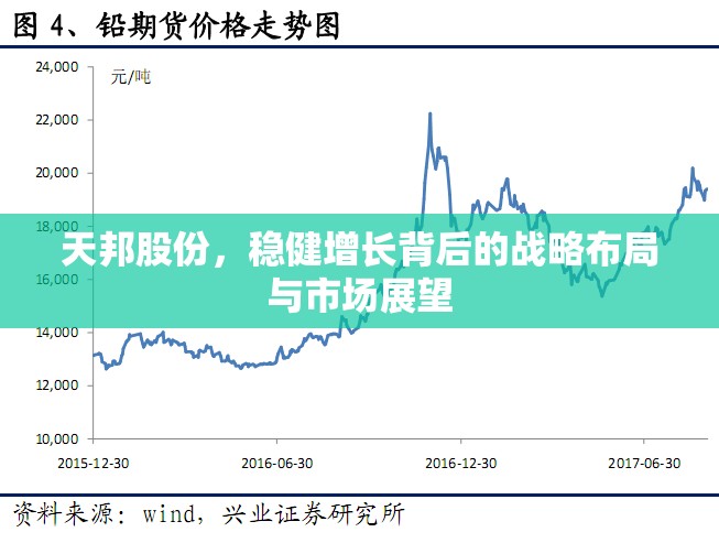 天邦股份，穩(wěn)健增長背后的戰(zhàn)略布局與市場展望