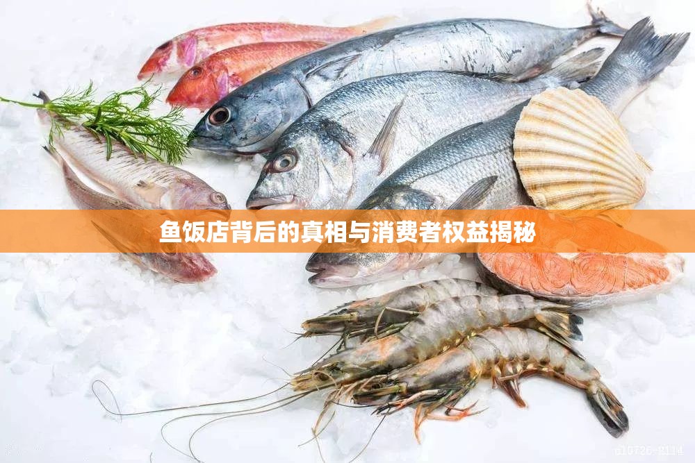 魚飯店背后的真相與消費者權(quán)益揭秘