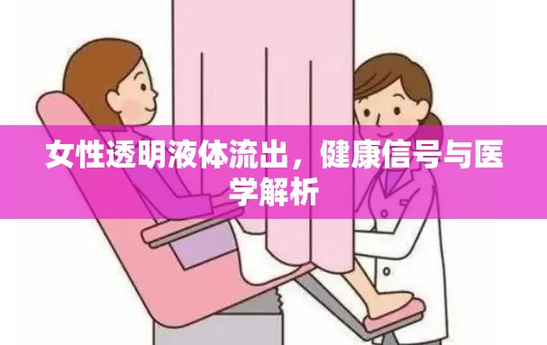 女性透明液體流出，健康信號與醫(yī)學解析