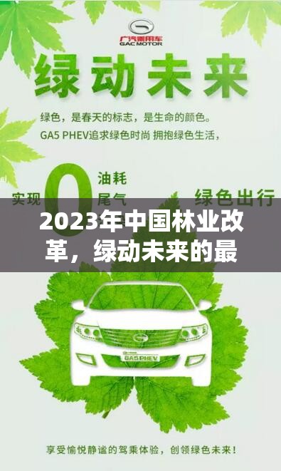 2023年中國林業(yè)改革，綠動未來的最新動態(tài)與前瞻