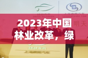 2023年中國林業(yè)改革，綠動未來的最新動態(tài)與前瞻