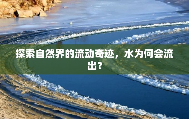 探索自然界的流動(dòng)奇跡，水為何會(huì)流出？