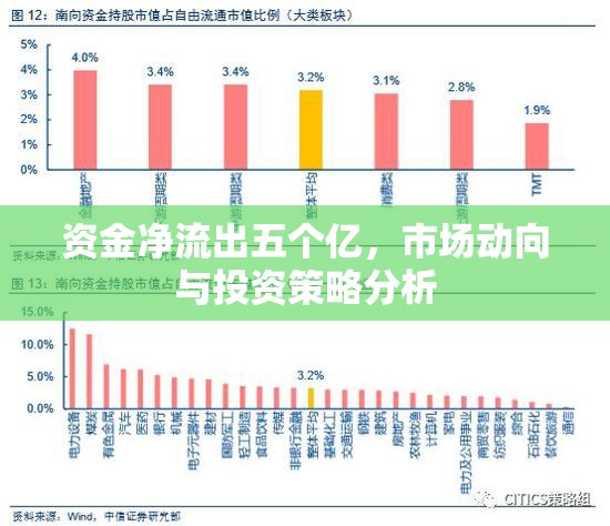 資金凈流出五個億，市場動向與投資策略分析