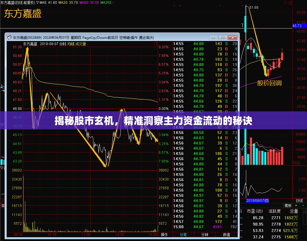 揭秘股市玄機(jī)，精準(zhǔn)洞察主力資金流動(dòng)的秘訣