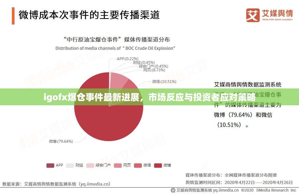 igofx爆倉(cāng)事件最新進(jìn)展，市場(chǎng)反應(yīng)與投資者應(yīng)對(duì)策略