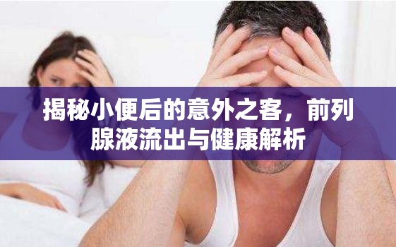 揭秘小便后的意外之客，前列腺液流出與健康解析