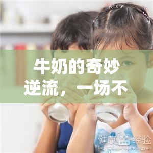 牛奶的奇妙逆流，一場不期而遇的鼻孔探險