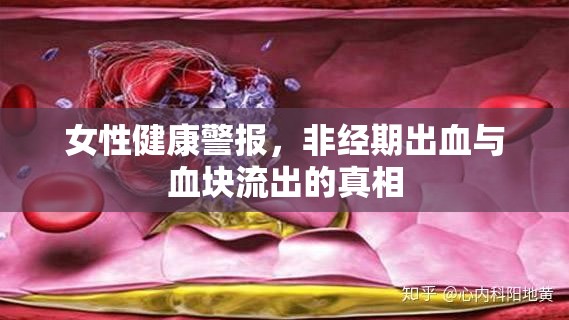 女性健康警報，非經期出血與血塊流出的真相