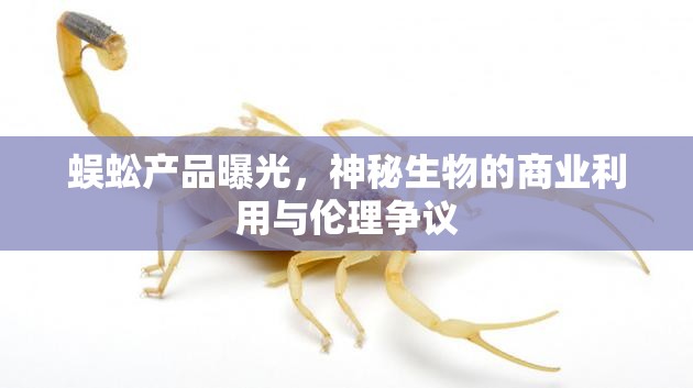 蜈蚣產(chǎn)品曝光，神秘生物的商業(yè)利用與倫理爭議